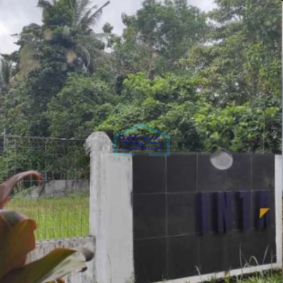 Dijual Tanah di Jalan Raya Manado Bitung Kolongan 2.950 M2 Kalawat Minahasa Utara