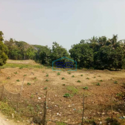 Dijual Tanah di Pakisjaya Karawang 4.950 M2 Pingir Jalan