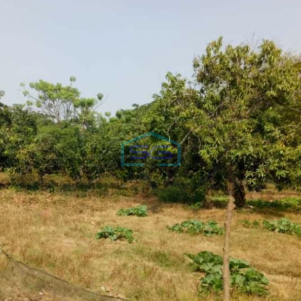 Dijual Cepat Tanah Luas 4950 m²  Lokasi di Karawang Jawa Barat-1