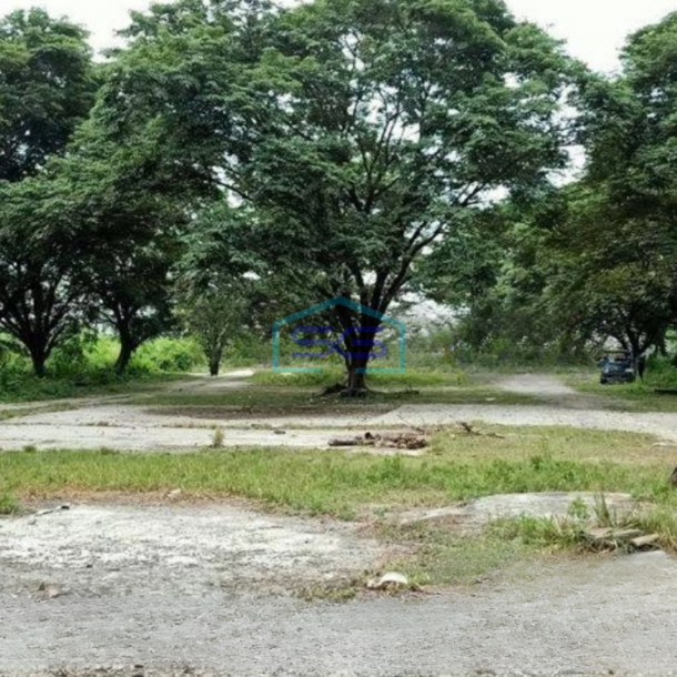 Dijual Cepat Tanah di Cilegon Serang Banten LT 7 Ha Dekat Pintu Tol-2