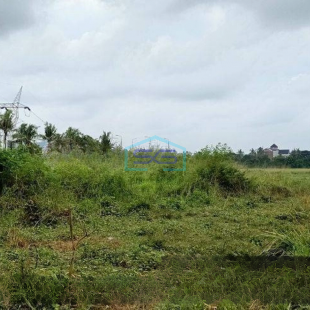Dijual Cepat Tanah di Cilegon Serang Banten LT 7 Ha Dekat Pintu Tol-1