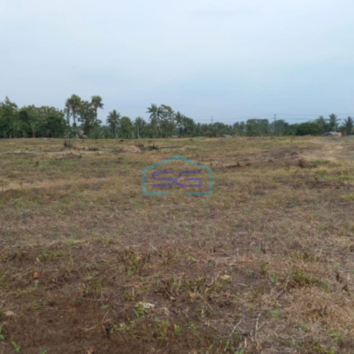 Dijual Tanah Luas 40000 m²  Lokasi di Kalianda Lampung