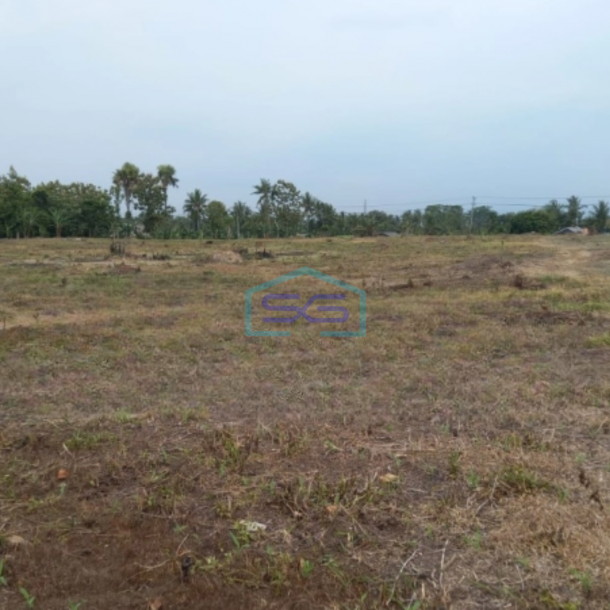 Dijual Tanah Luas 40000 m²  Lokasi di Kalianda Lampung-2