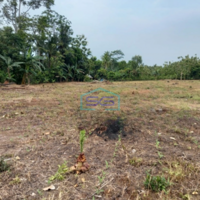 Dijual Tanah Luas 40000 m²  Lokasi di Kalianda Lampung