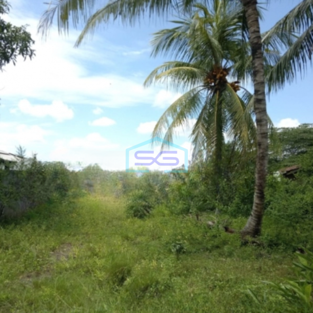 Dijual Tanah Luas 20000 m² Lokasi di Natar Lampung Selatan-1