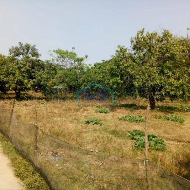 Dijual Tanah di Jalan Pakisjaya Karawang LT 4950m2-2