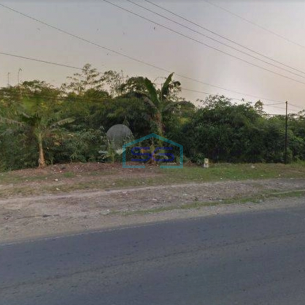 Dijual Tanah Cepat Dipinggir Jalan Raya Sadang Subang Luas 18 Ha-1