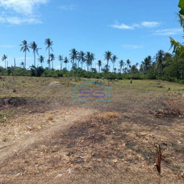 Dijual Tanah di Seokarno Hatta Kalianda Lampung Selatan LT 40000m2-3
