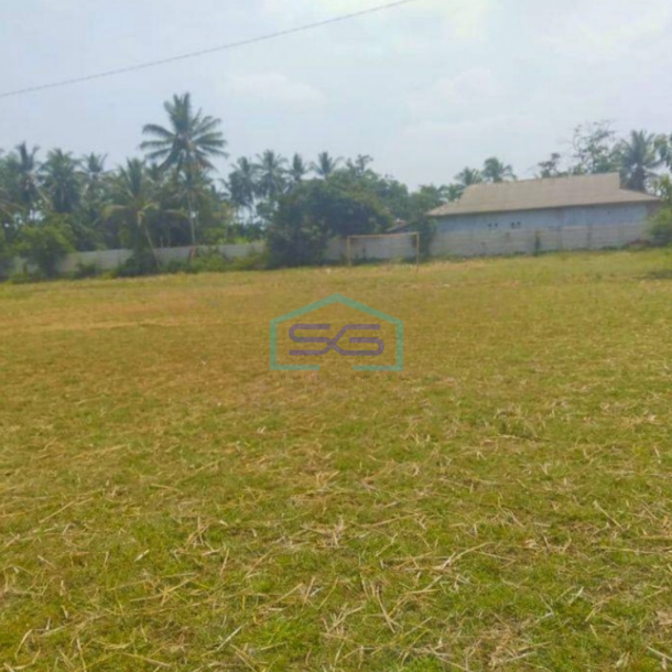 Dijual Cepat Tanah Di Panimbang Pandeglang Banten 1.5 Ha Pinggir Jalan Utama Murah-3