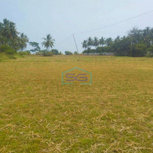 Dijual Cepat Tanah Di Panimbang Pandeglang Banten 1.5 Ha Pinggir Jalan Utama Murah-1