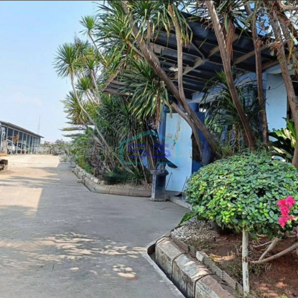 Disewakan Tanah di Cakung Cilincing Jakarta Timur LT 8500m2 Ada Gudang Dan Kantor-3