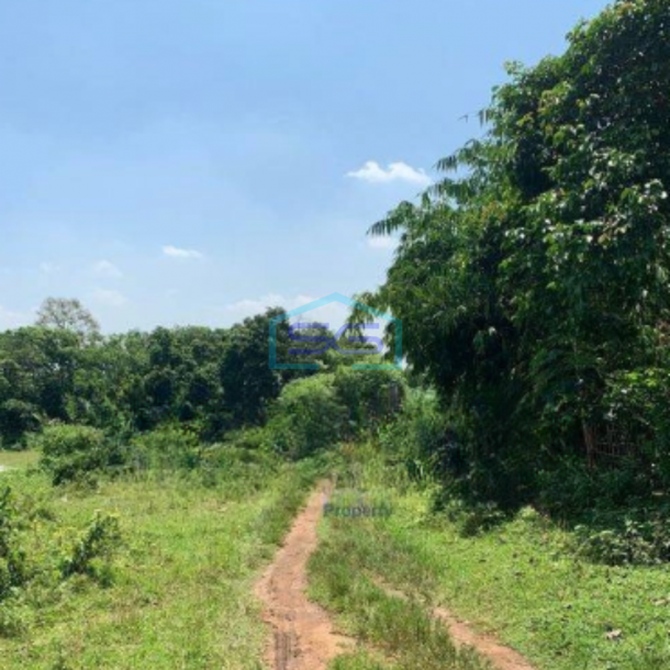 Dijual Tanah Lokasi Strategis di Cikeusal Serang Luas Tanah  9013 m²-2