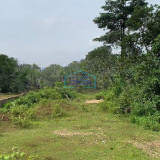 Dijual Tanah Lokasi Strategis di Cikeusal Serang Luas Tanah  9013 m²-1
