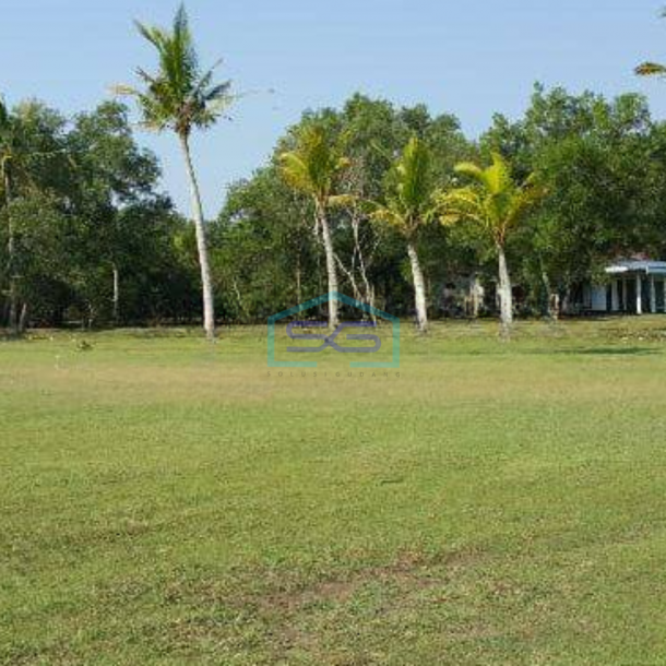 Dijual Tanah Luas 41666 m² di Pagelaran Pandeglang Banten-1