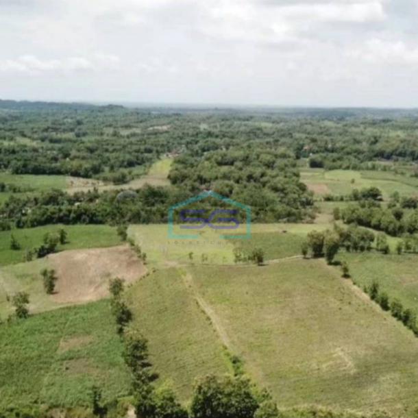 Dijual Tanah Daerah Sragen Dengan Zona Industri LT 280000m2-1
