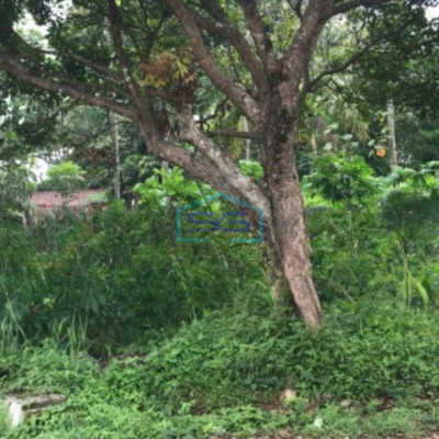 Dijual Tanah Luas 100000 m² Lokasi Balaraja Tangerang