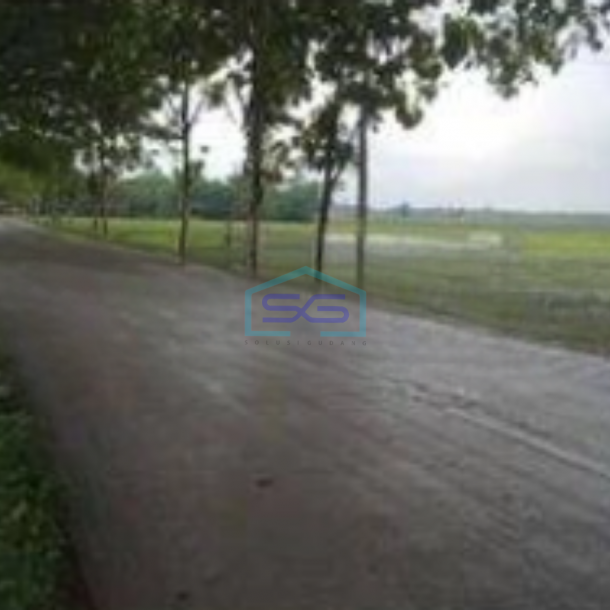 Dijual Tanah Dalam Zona Industri Luas 25ha Di Daerah Kebonromo sambungmacan sragen-1