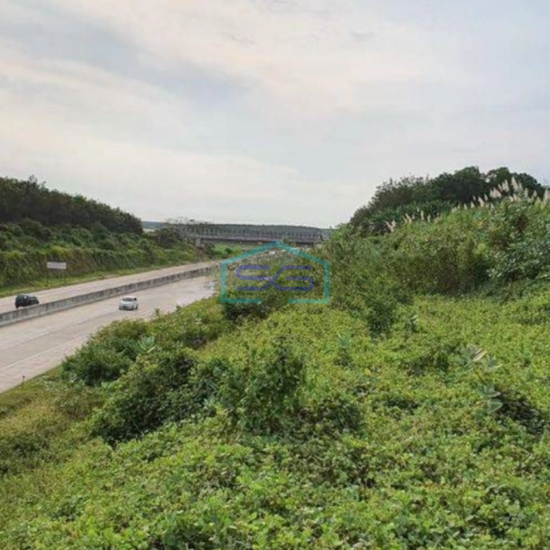 Dijual Tanah Pinggir Jalan Tol Cocok Untuk Pabrik di Batang Jawa Tengah LT 246000m2-1