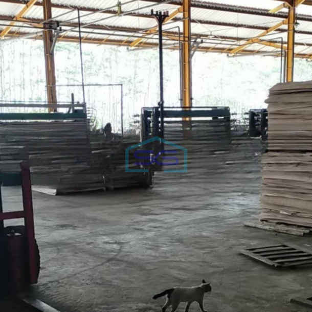 Disewakan Gudnag Lokasi Bebas Banjir di Semarang Jawa Tengah Luas Tanah  500 m²-2