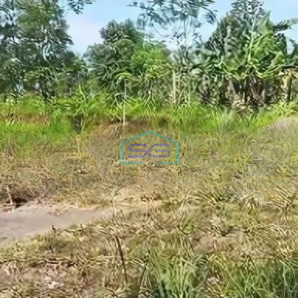 Dijual Tanah Strategis Zona Industri Dekat Exit Tol Salatiga LT 120000m2-2