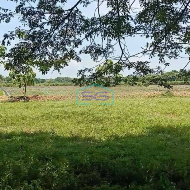 Dijual Tanah Dengan Zona Industri di Gayaman Sragen LT 100000m2-2