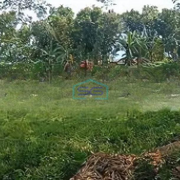 Dijual Tanah Dengan Zona Industri di Gayaman Sragen LT 100000m2-1
