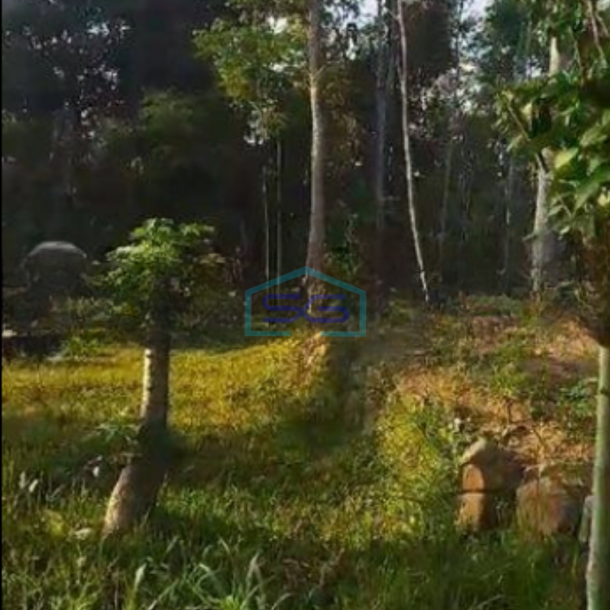Dijual Tanah Siap Pakai Akses Kontainer Di Kaligentong Boyolali LT 20000m2-1
