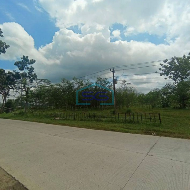 Dijual Tanah Letak Strategis Di Wangon Cilacap Zona Industri LT 40000m2-1