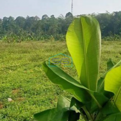 Dijual Tanah Strategis Di Zona Industri KPI Bergas Semarang LT 420000m2