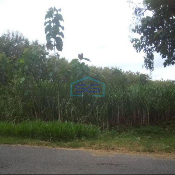 Dijual Tanah Di Sragen Dengan Zona industri LT 86000m2-1
