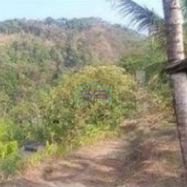 Dijual Tanah Luas 45000m2 Di Banyubiru Kabupaten Semarang-1
