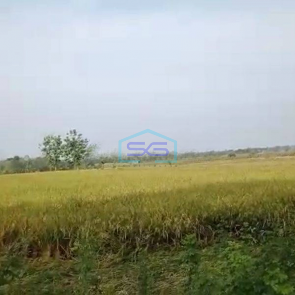 Dijual Tanah Zona Industri Daerah Sragen LT 3500m2-1