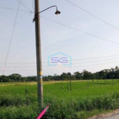 Dijual Tanah Luas 60000 m² Lokasi Klaten Jawa Tengah