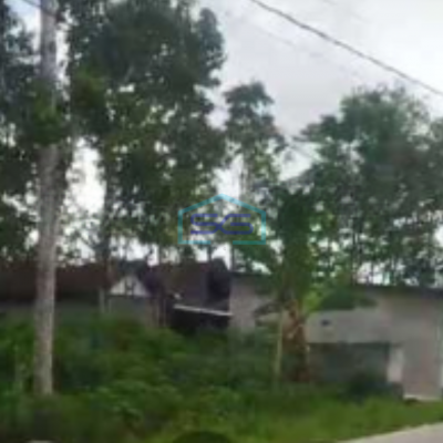 Dijual Tanah Lokasi Ampel Boyolali Luas 20000 m²