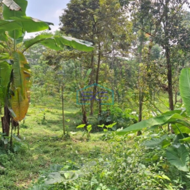 Dijual Tanah Strategis Luas  4440 m² Lokasi Semarang Jawa Tengah-1