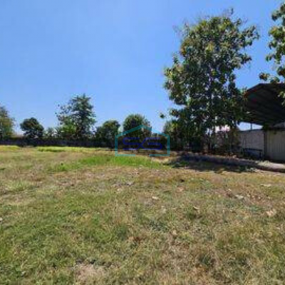 Dijual Pabrik Kayu Daerah Mranggen, Jawa Tengah