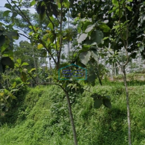Dijual Lahan Tanah Lokasi Dayurejo Pandaan Pasuruan Jawa Timur Luas 2800m2-1