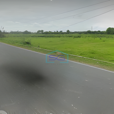 Dijual Tanah Strategis Pinggir Jl Raya Tuban Jawa Timur Luas Tanah 22220000m2