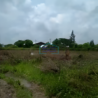 Dijual Tanah Industri di Tuban Kecamatan Widang Jawa Timur Luas 4 Hektar