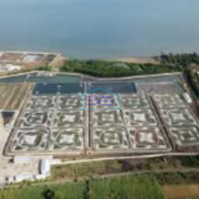 Dijual Pabrik Luas Tanah 98000m2 Lokasi di Situbondo Jawa Timur
