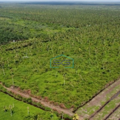 Dijual Tanah 30 Ha di Kec Jongkat Kab Mempawah Kalimantan Barat