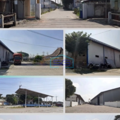 Dijual Gudang Raya Driyorejo Gresik Dekat Toll Luas Bangunan 24500 m²