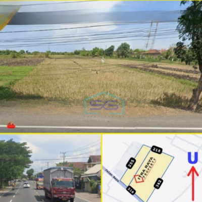 Dijual Tanah Nol Jalan Propinsi Di Raya Beji Pasuruan Luas Tanah 64047 m²