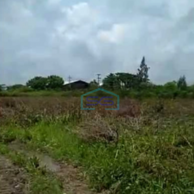 Dijual Tanah Industri Nol Jalan Raya Tuban Kecamatan Widang Luas Tanah 40000 m²
