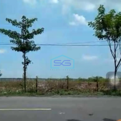 Dijual Tanah Industri Nol Jalan Raya Tuban Kecamatan Widang Luas Tanah 40000 m²