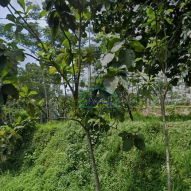 Dijual Tanah Lokasi Dayurejo Pandaan Luas Tanah 2800 m²-1