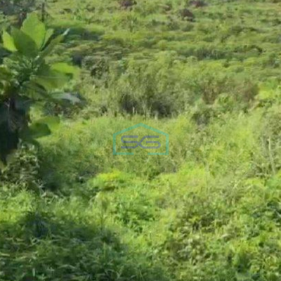 Dijual Tanah Murah Luas 100000 m² Lokasi Strategis di Sentul Bogor