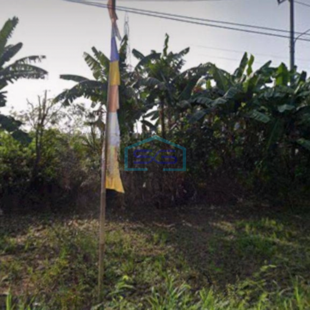 Dijual Tanah Luas 450000 m² di Pinggir Jalan Raya Sukawangi Bekasi-1