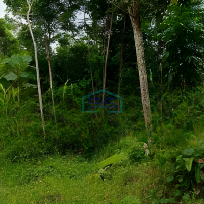 Dijual Tanah Luas 35000 m² Lokasi Strategis di Kelapa Gading Jakarta Utara