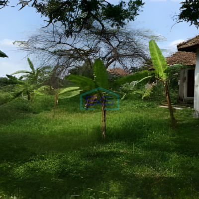 Dijual Tanah Luas  27733 m² Lokasi Strategis di Semarang-2